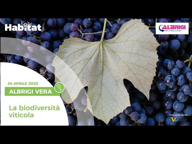 LA BIODIVERSITÀ VITICOLA