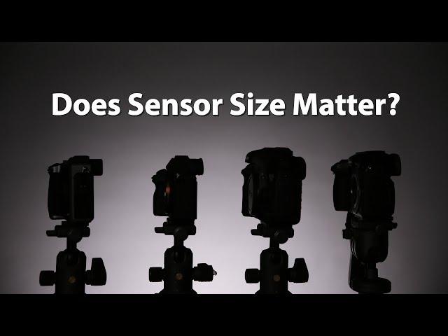 Sensor Size Comparison for Photography