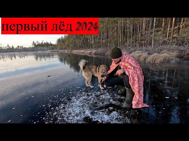 ПЕРВЫЙ ЛЁД РЫБАЛКА. РЫБАЛКА НА ЖЕРЛИЦЫ. РЫБАЛКА ПОШЛА НЕ ПО ПЛАНУ. ДЛЯ СЧАСТЬЯ НУЖНО ИМЕННО ЭТО