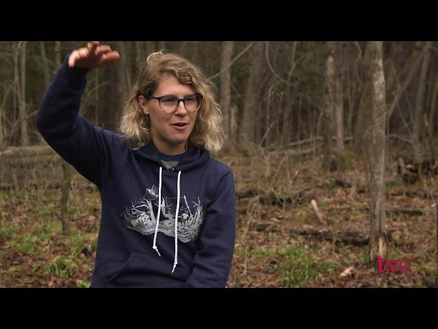 The Rise of Forest Schools