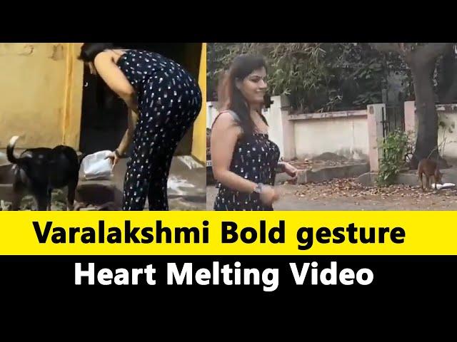 தெரு நாய்களுக்காக களத்தில் இறங்கிய Varalaxmi Sarathkumar - Varu's Bold Gesture | Cinemaplusnews .