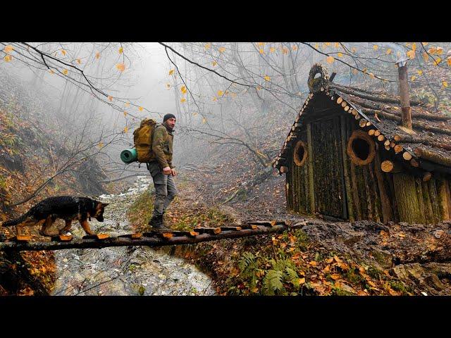 Wilderness Survival: Building a Log Cabin and Bridge in the Misty Forest | Surviving and Thriving