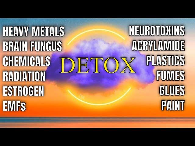 BRAIN DETOX 🟣  Binaural Beats RIFE Frequencies Isochronic Tones Delta Waves I The Sound Healers