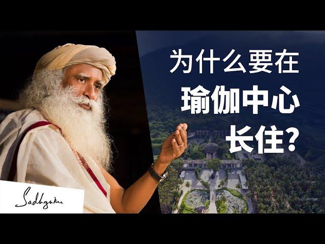 为什么一个人要在瑜伽中心长住？ | Sadhguru 萨古鲁