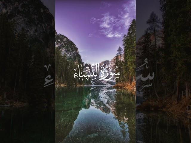 Mohammed Junaid 8