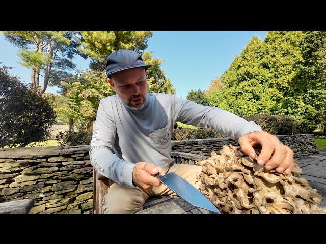 How To Pickle Mushrooms | Maitake Hen of The Woods