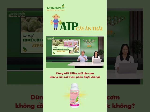 ATP Silika Tưới Lên Cơm Có Cần Rải Thêm Lân Không | An Thịnh Phát