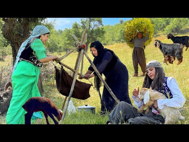 Nomadic Life Style IRAN: Making Butter and Cooking Traditional Dish On The Grasslands