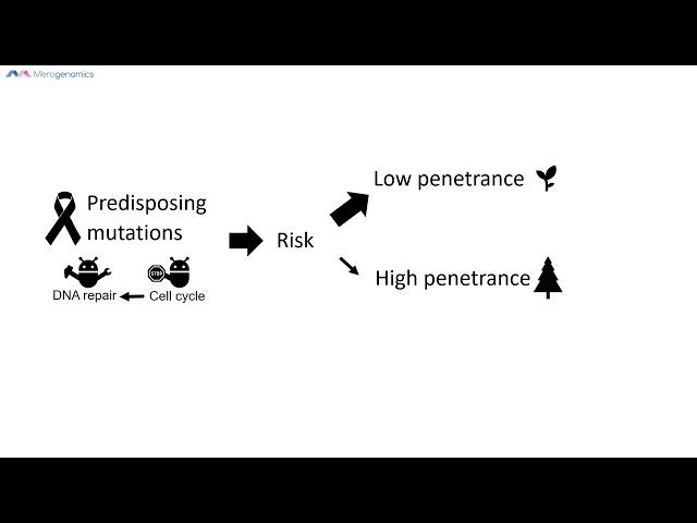 Cancer genetic predisposition intro | Merogenomics