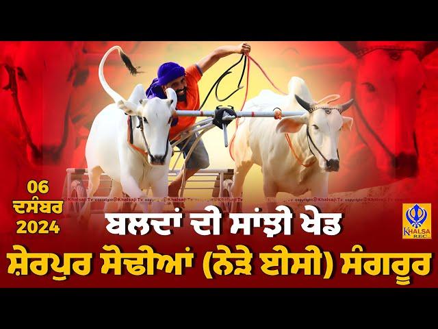 [Live] Sherpur Sodhian | Sangrur | ਸ਼ੇਰਪੁਰ ਸੋਢੀਆਂ | ਬਲਦਾਂ ਦੀ ਸਾਂਝੀ ਖੇਡ | Ox Races | 06 Dec 2024