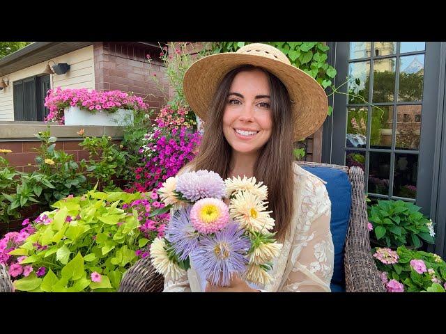 You NEED This Flower In Your Garden Next Year! Why I Love China Asters