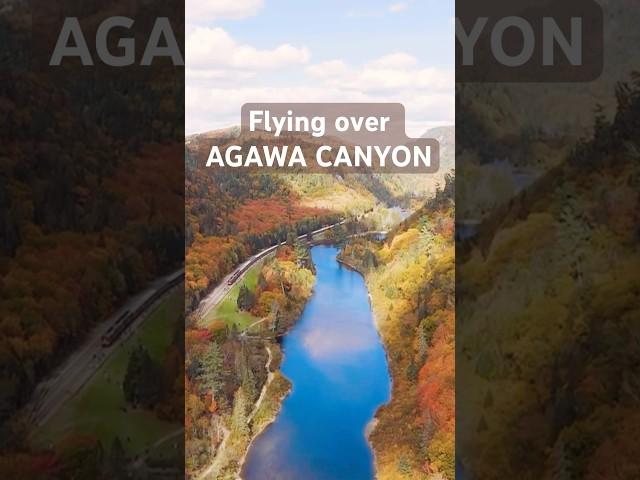 BEST VIEW ON AGAWA CANYON.FULL VIDEO ON CHANNEL#shorts #outdoors #train #travel #nature #destination