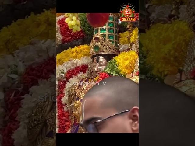 శ్రీ కోదండరామస్వామి వారి దర్శనం || Darshan of Sri Kodandaramaswamy ||srirama  ||srichakramtv