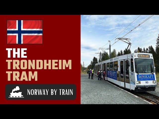 Trondheim Tram: A Ride on Trondheim's Historic Tram