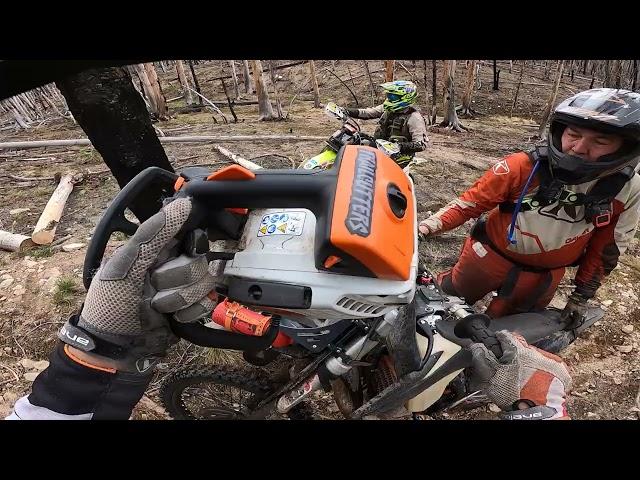 4 chainsaws clearing trail. How we leapfrog to keep things moving. Part 3