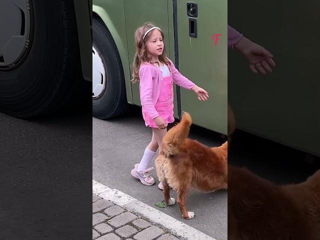 Incredible Dog Rescues Kittens from Bus - Inspiring Story #shorts