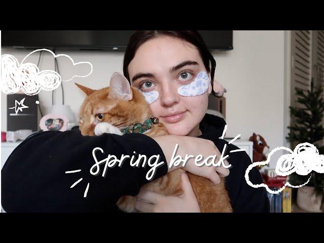 spend a week of spring break with me !! | STAYCATION in LOS ANGELES