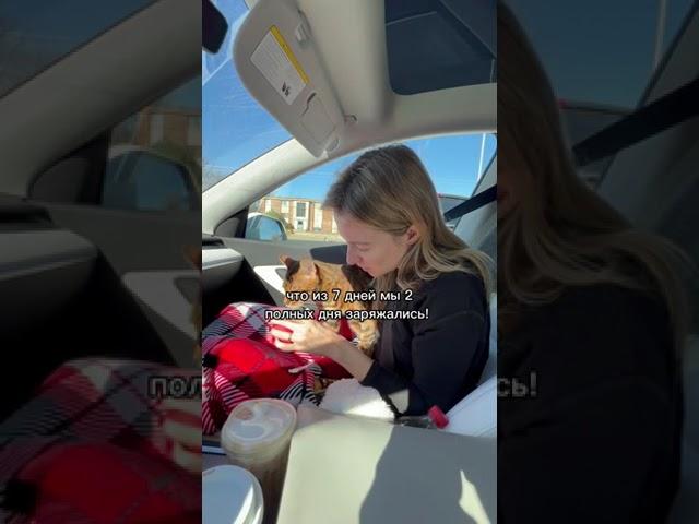 Я УСТАЛА ЗАРЯЖАТЬ ТЕСЛУ #сша #shorts #тесла #tesla #илонмаск #автопилот #америка