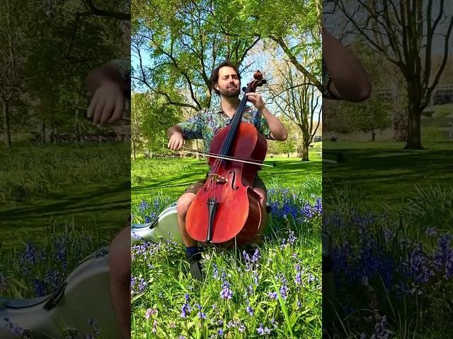 When you’re in London in Spring… #cello #london #classicalmusic