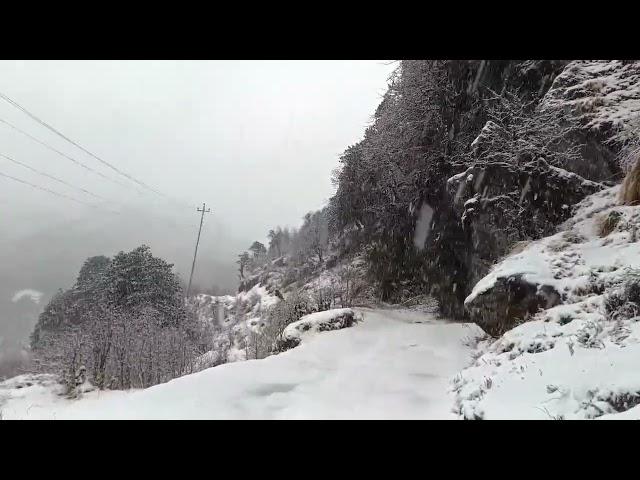 Sandakphu Snowfall 2024 March