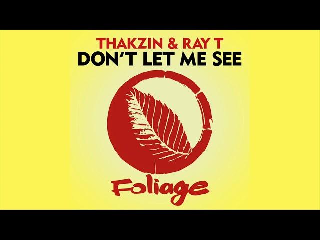 Thakzin & Ray T – Don’t Let Me See (Original Mix)