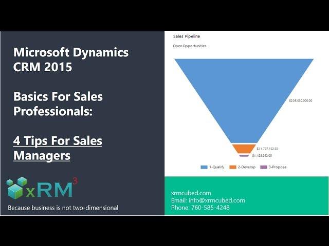 Microsoft Dynamics CRM Basics for Sales Professionals: 4 Tips For Sales Managers