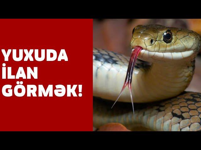 Yuxuda İLAN Görmək - SƏSLİ YUXU YOZMALARI