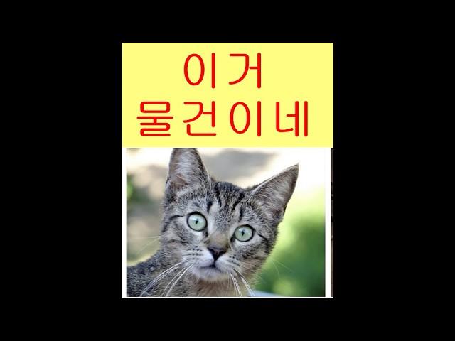 부전동상가건물매매 부전시장최고자리 상업지64평 월세1100만