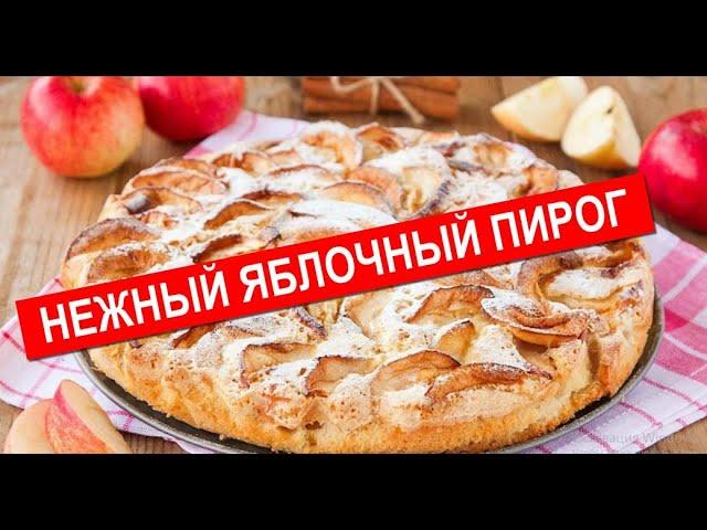 Нежный Яблочный Пирог | Готовим Дома Быстро И Просто