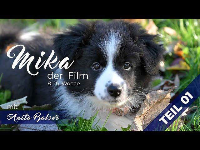 Mika der Film (Trailer) – die Grundsteine für ein Leben in Verbundenheit