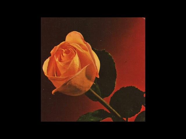 {FREE} Kali Uchis x Reggae Jazz Type Beat "Red Roses"