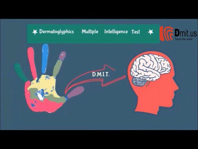 DMIT SOFTWARE|DMIT TEST|DMIT REPORT