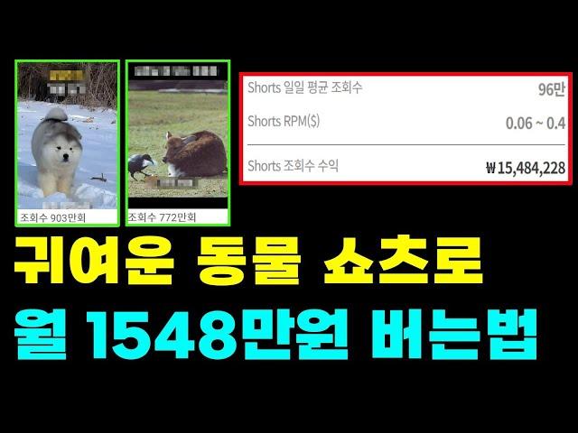 귀여운 동물 쇼츠로 월 1548만원 버는법 최강부업 유튜브