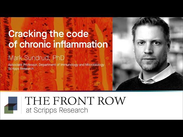 Cracking the Code of Chronic Inflammation