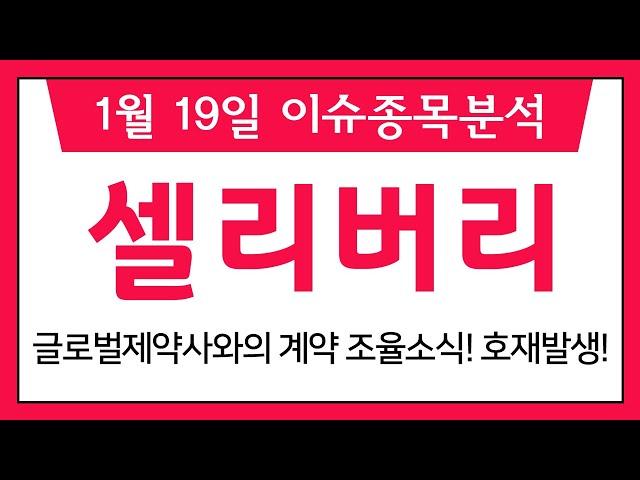 셀리버리 (268600) 글로벌제약사와의 계약 조율소식! 호재발생!