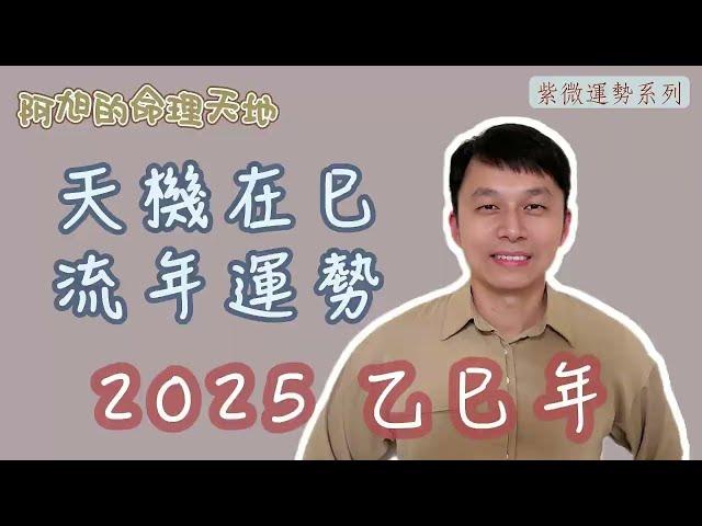 【紫微斗數】天機在巳 流年運勢｜2025 乙巳年