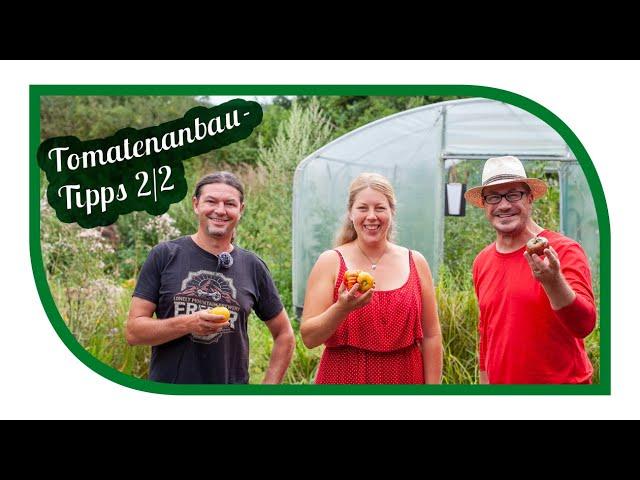 Kraut- und Braunfäule bei Tomaten  Tipps von Experten  Interview Teil 2