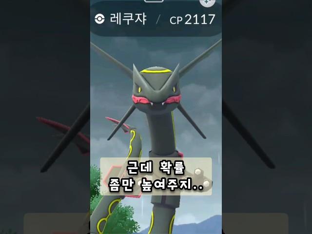 메가레쿠쟈가 또 나왔네?? 그럼 이로치 좀 달려볼까? (포켓몬고, 포고)