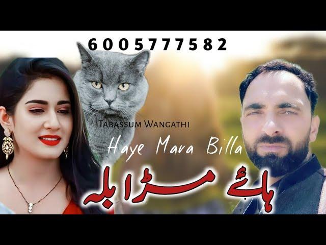 Haye Mara Billa|Dogri Song|Pahari Song|Tabassum Wangathi