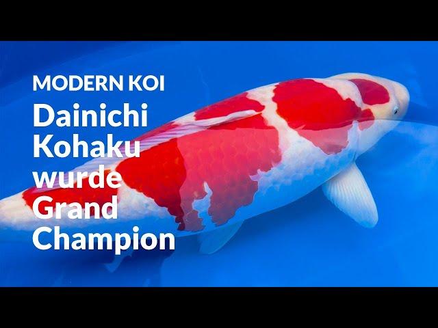 Die erste World Nishikigoi Show in Mihara | Modern Koi Blog #7075