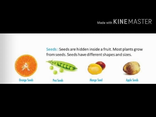 SUBJECT: SCIENCE    TOPIC: PARTS OF A PLANT PART- 1