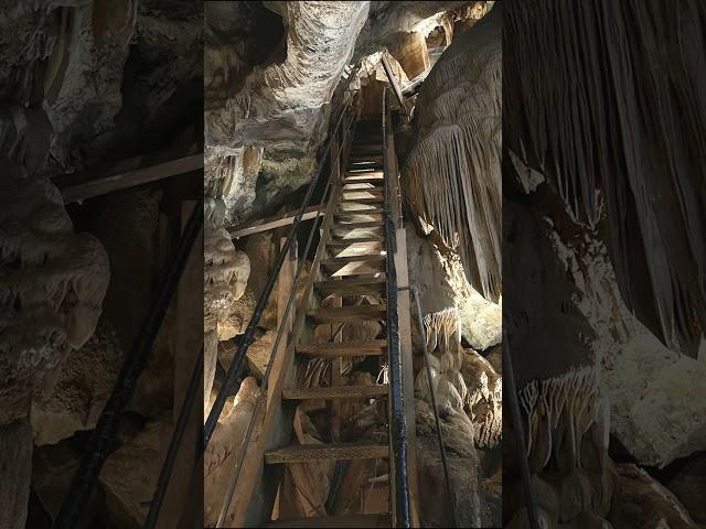 A quick Mercer Caverns tour—crystals, caves, and epic formations!