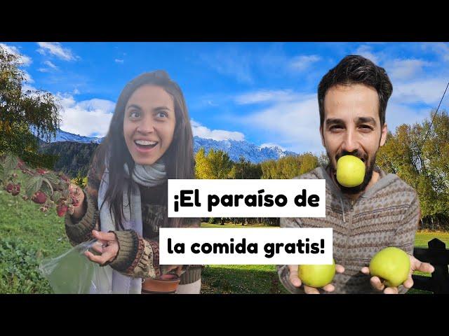 Argentina GRATIS | Viajando BARATO por La Patagonia | VLOG