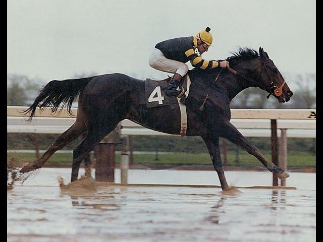 Seattle Slew - Full Documentary