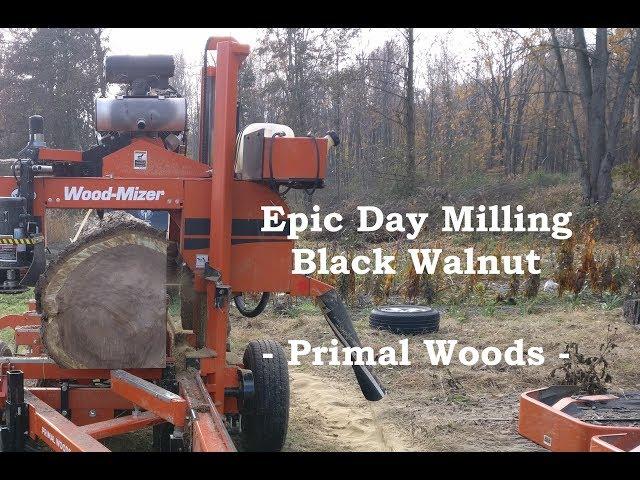 Epic Day Milling Black Walnut | Primal Woods