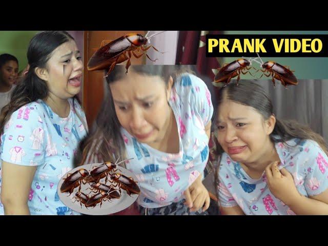 PRANK ON STUTI ll CHOOSE THE GOOD FOOD CHALLENGE ll PRANK VIDEO @BudaBudiVlogs