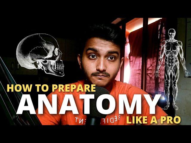 How to study Anatomy *like a pro* | MBBS 1st year Study guide