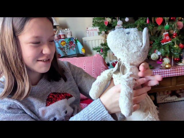 Stitched by Mrs D Vlogmas Day 16 The worst mince pies ever, guinea pigs and an operation for Woh Woh