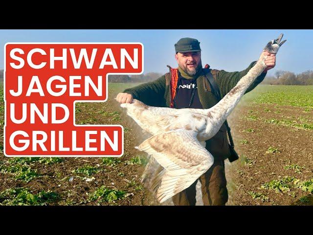 Swan hunting and grilling from the field to schnitzel Klaus grills