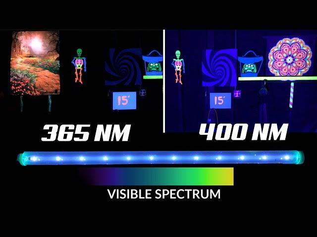 DIFFERENCE between 365nm and 400nm UV LED Black Lights Explained VISUALLY